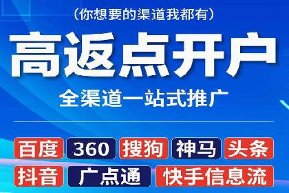 百度竞价广告成功案例：如何实现ROI最大化